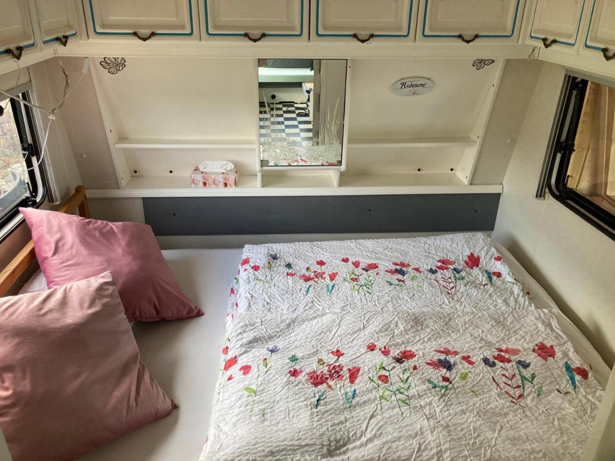 Tiny House Anneliese Hunde Okay Βίλα Oberbettingen Εξωτερικό φωτογραφία
